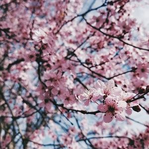 Meet your Posher, Kaylee